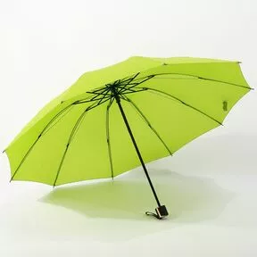 салатовый женский зонт